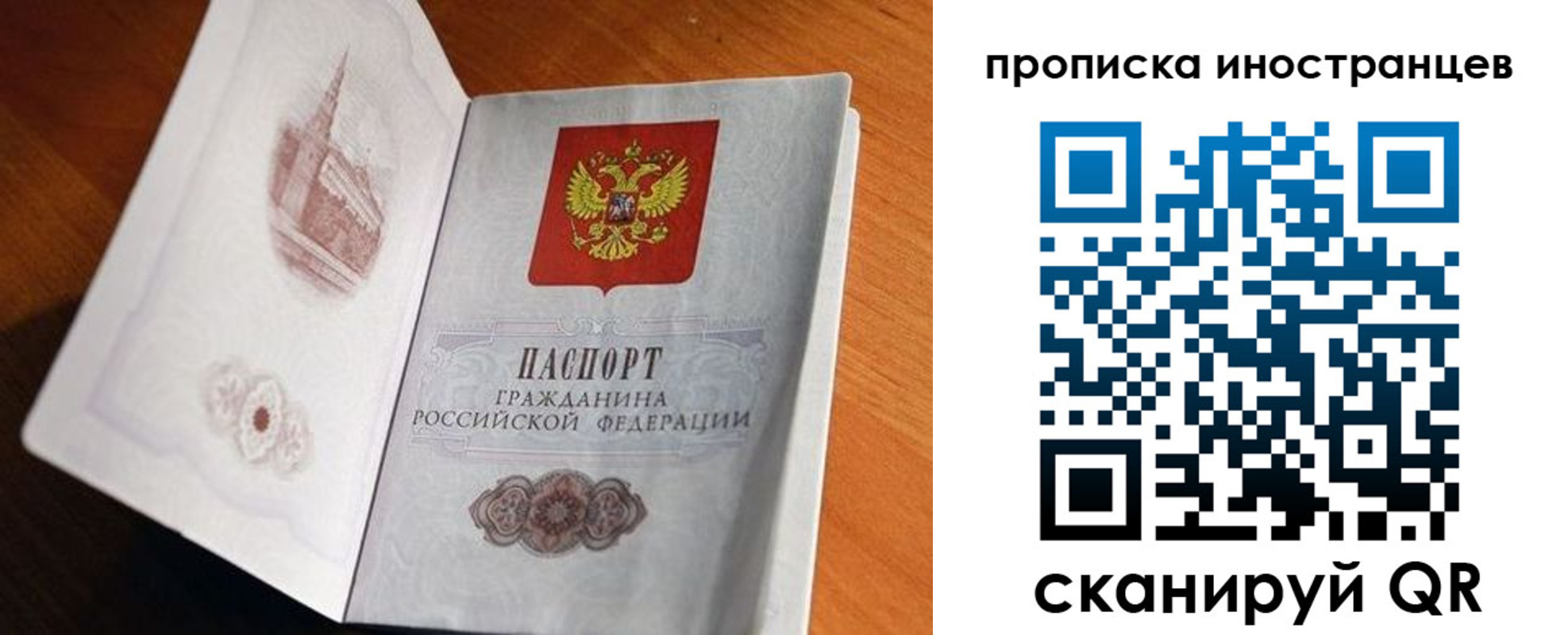 прописка 2025 в Новозыбкове